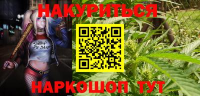 прущие крисы Малгобек