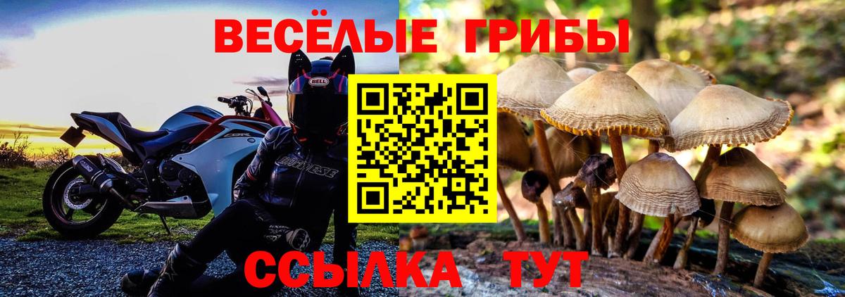 Галлюциногенные грибы MAGIC MUSHROOMS Владикавказ